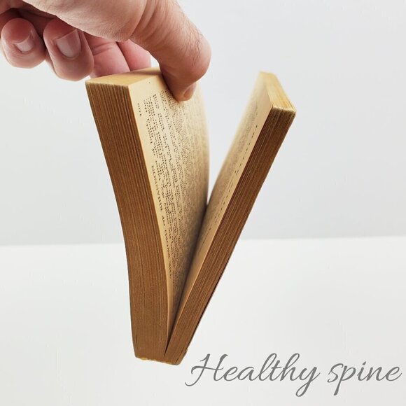 ACE Double D-36 Book Conan Conqueror Howard, Sword Rhiannon Brackett 1953 PB - Picture 3 of 12